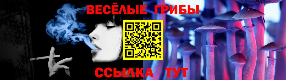 Галлюциногенные грибы Psilocybine cubensis Ставрополь