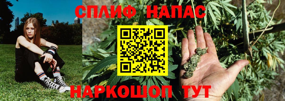 Шишки марихуана ГИДРОПОН  Бошки Шишки THC 21%  Ставрополь  Марихуана конопля  Вход с VPN 